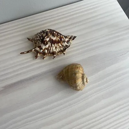 Cricket Apartment